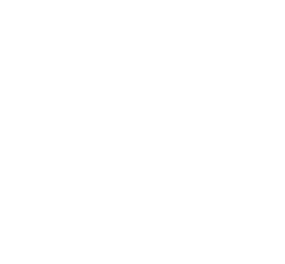 Forfait Le Solo pour le Bière Fest 2025; un verre et dix jetons