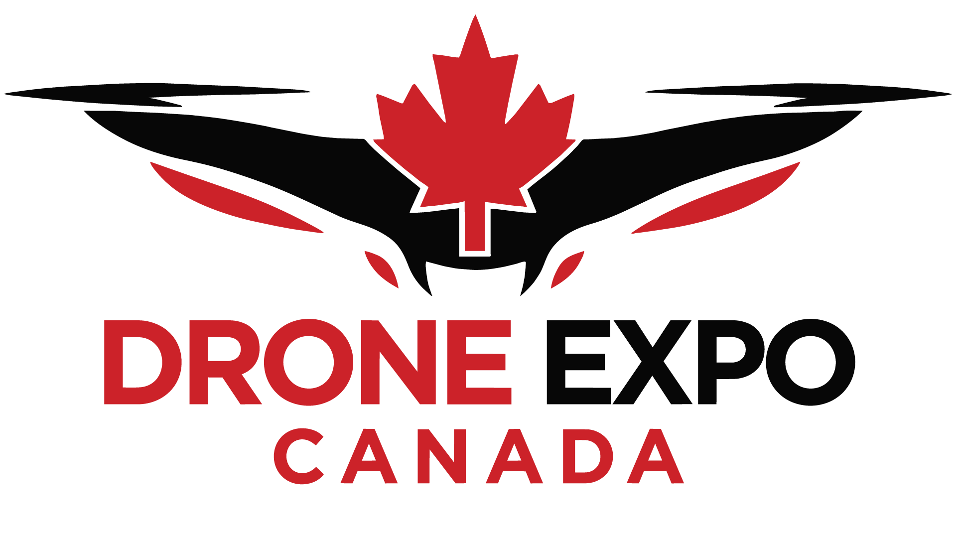 Une entrée pour le Festival Drone Fan de Saint-Georges-de-Beauce